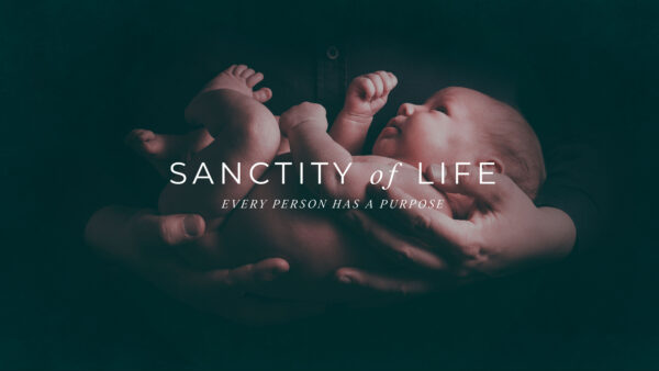 Sanctity of Human Life Image